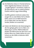 Pocket Quiz – Verrückte Natur