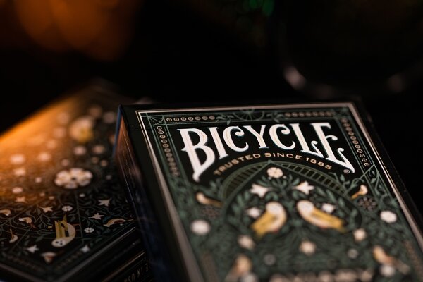 Bicycle - Aviary Cards