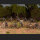 Wargames Atlantic: Goblin Warband (Plastic)