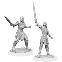 Critical Role Unpainted Miniatures - Human Dwendalian...