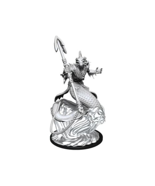 Critical Role Unpainted Miniatures - Shallowpriest