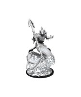 Critical Role Unpainted Miniatures - Shallowpriest