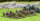 Oathmark: Dwarf Light Infantry (x30 Plastic)