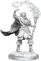 Elf Cleric Male