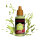 Warpaints Air Canopy Green
