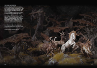 The Art of Ana Polanscak HB Book (EN)
