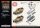 Flames of War GE: Sd Kfz 251 2cm / Triple 15mm Armoured Flak Platoon (3x Plastic)