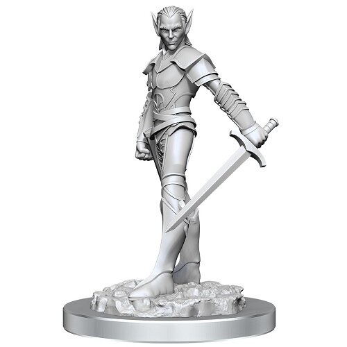 Drow Fighters