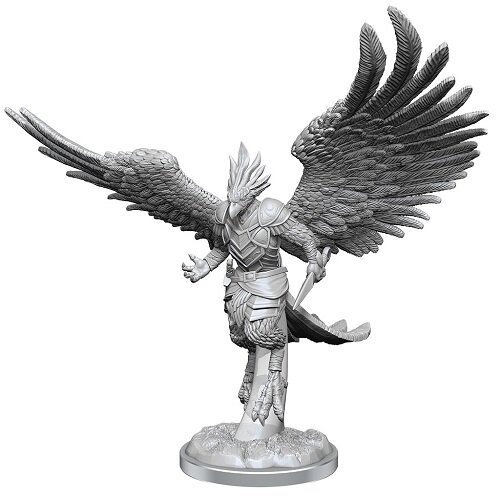 Aarakocra Paladins