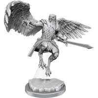 Aarakocra Paladins
