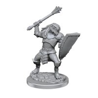 Dragonborn Clerics