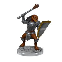 Dragonborn Clerics