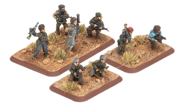 Team Yankee US Militia Group