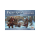 Barbarians II (20x/plastic) - Frostgrave