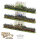 Pike & Schotte Epic Battles TYW Infantry Battalion