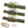 Pike & Schotte Epic Battles TYW Infantry Battalion