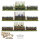 Pike & Schotte Epic Battles TYW Infantry Battalion
