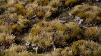 Marshland Set - Wild (4mm/6mm)