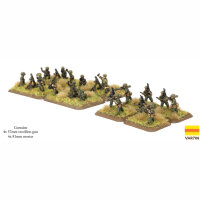 Vietnam: ARVN Weapon Platoon