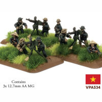 Vietnam: Local Forces AA-Platoon