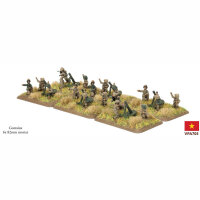 Vietnam: PAVN 82 mm Mortar Company