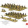 Vietnam: PAVN Infantry Company