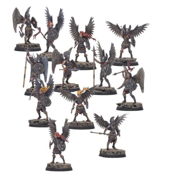 Shieldwolf Miniatures: Valkyries (Plastic)