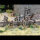 Wargames Atlantic: British SAS/Commandos (x30 Plastik)