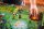 Living Forest Spielmatte (DE)