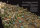 The Tremendous Tome of Epic Dungeons (EN)