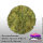 Krautcover Scenics: Static Grass Autumn 6mm (140ml)