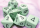 Würfelset: 7 Würfel mehrseitig Opaque Polyhedral Pastel Green/black