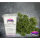 Krautcover Scenics: Kraut for Trees (400ml)