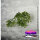 Krautcover Scenics: Kraut for Trees (400ml)