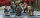 Scavenger II (x20 Plastik)