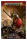 Faction Pack: Orruk Warclans (EN)