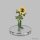 Pathfinder Deep Cuts Mini.: Leshy Window Box Set