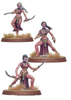 Shieldwolf Miniatures: Aravises Archers/Swords (Plastic)