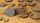 Deserts of Maahl - Round 50mm (x3)