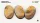 Deserts of Maahl - Oval 75mm (x3)