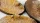 Deserts of Maahl - Oval 75mm (x3)