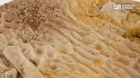 Deserts of Maahl - Oval 170mm (x1)
