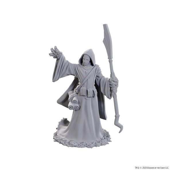 D&D Nolzurs Marvelous Miniatures: Star Spawn Larva Mage