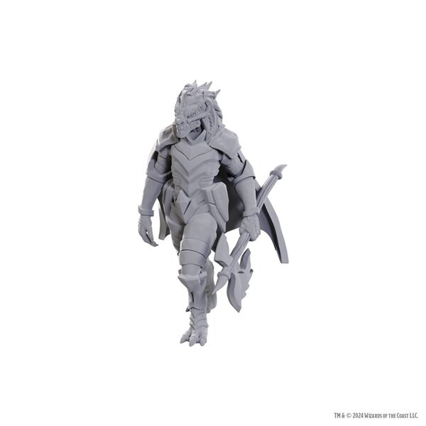 D&D Nolzurs Marvelous Miniatures: Dragonborn of Tiamat