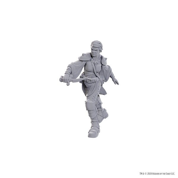 D&D Nolzurs Marvelous Miniatures: Swashbuckler