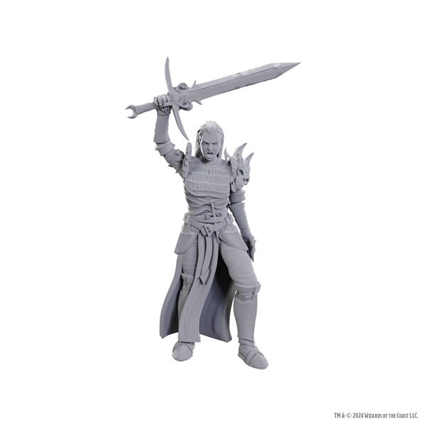 D&D Nolzurs Marvelous Miniatures: Blackguard