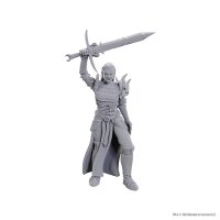 D&D Nolzurs Marvelous Miniatures: Blackguard