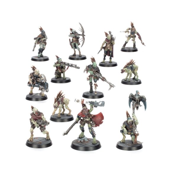 Kill Team Fernpirscher Sippenschar