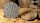 Deserts of Maahl - Round 80mm (x1)