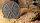 Deserts of Maahl - Round 90mm (x1)